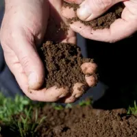 hands-feeling-new-soil