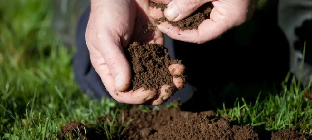 hands-feeling-new-soil