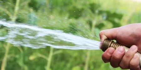 watering lawn